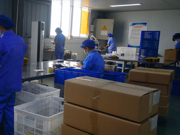 哪里有膏藥加工廠？膏藥貼牌廠家哪家好？